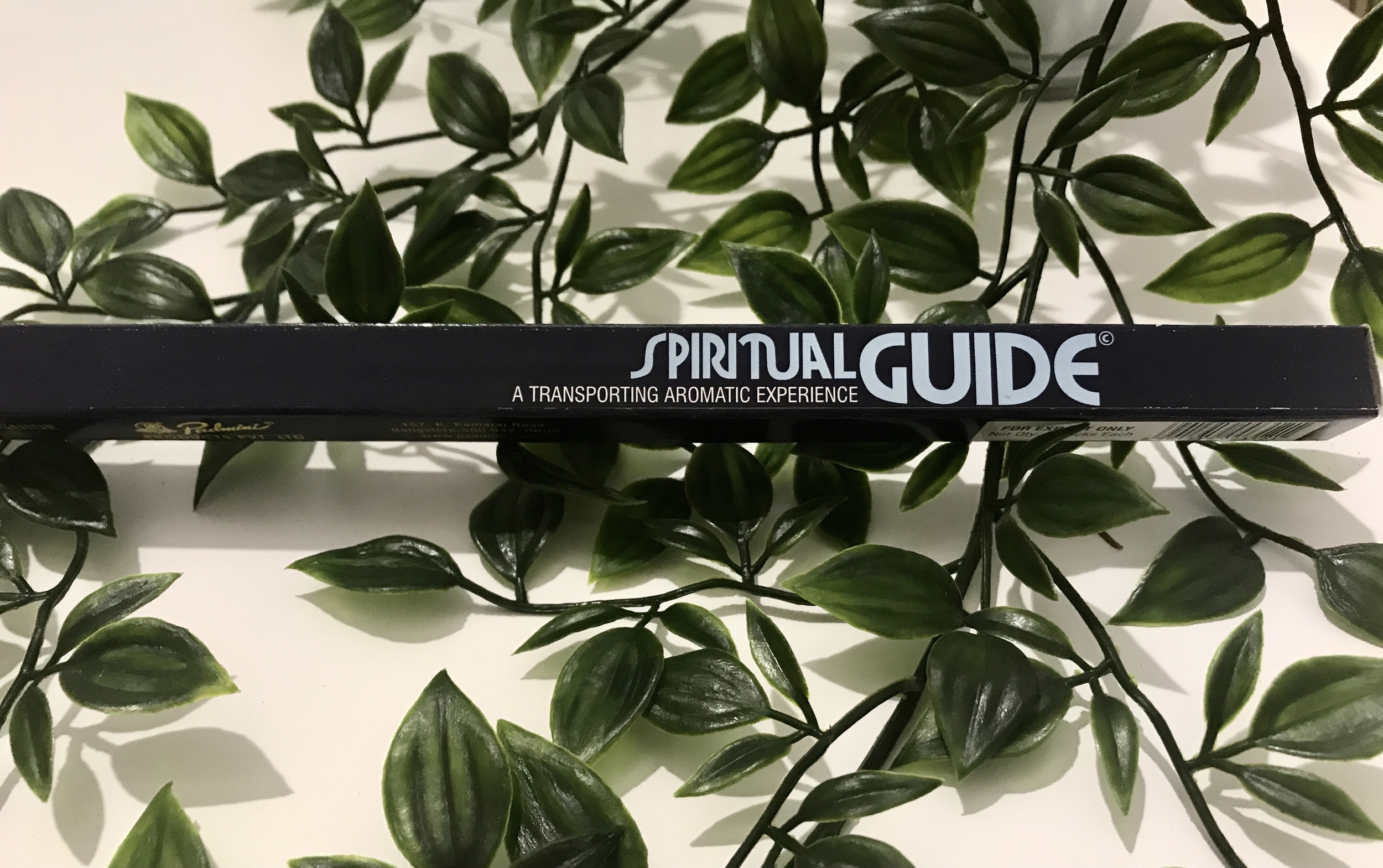 encens-padmini-guide-spirituel-spiritual