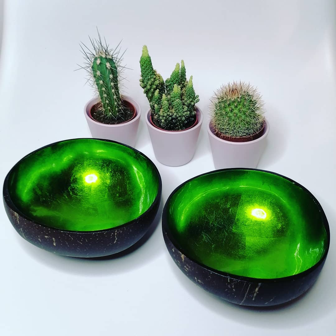 Coconut-bowls-bol-coco-vert