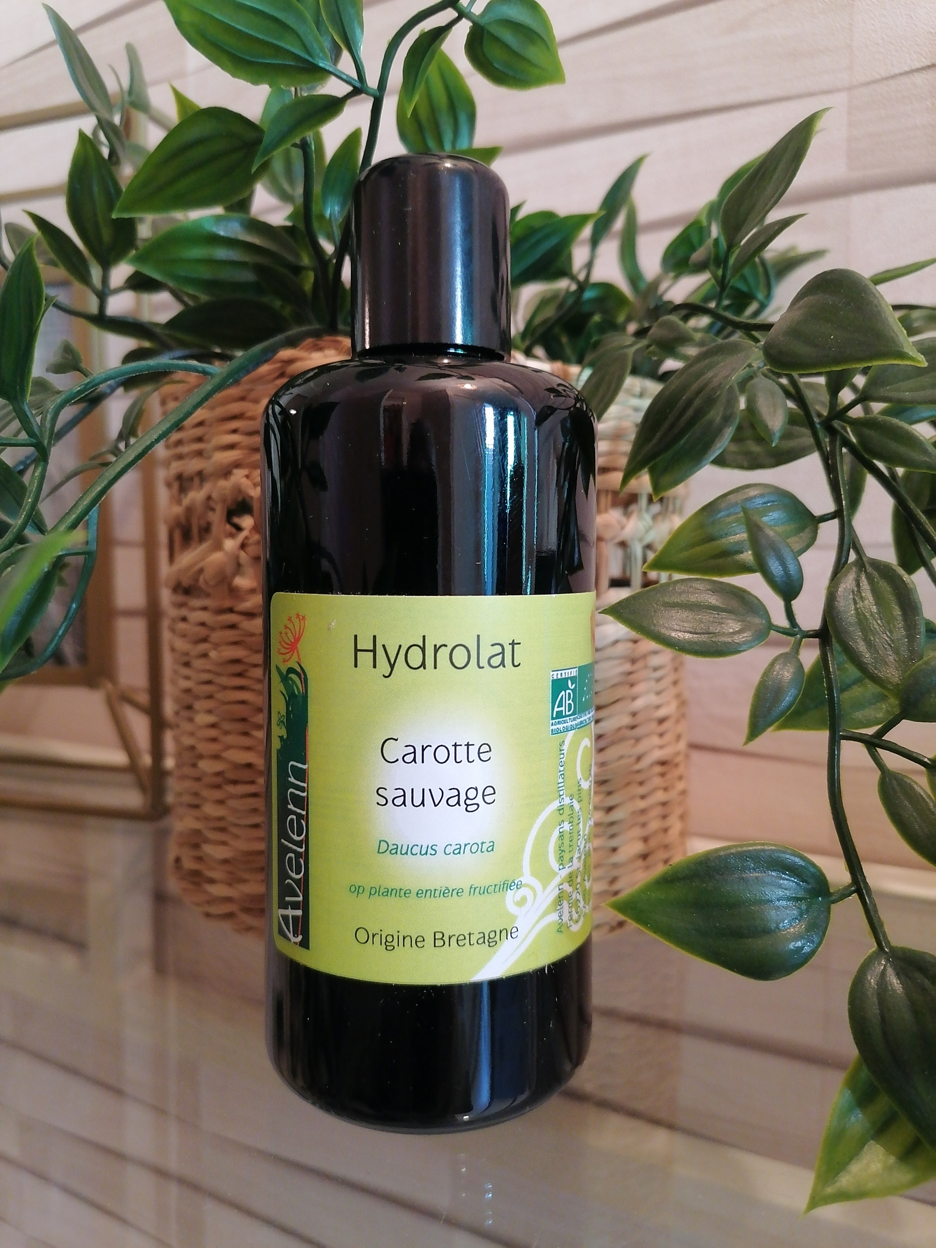 hydrolat-eau-florale-carotte-sauvage-bio-avelenn-herboristerie