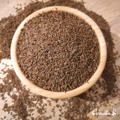 carvi-bio-infusion-herboristerie
