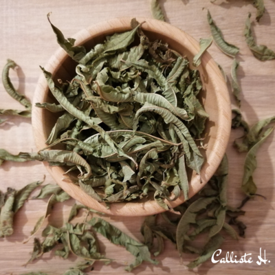 Verveine-infusion-herboristerie