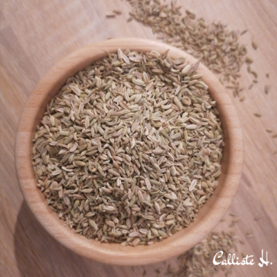 fenouil-bio-infusion-herboristerie