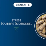 complexe-stress-dynveo-actifs-bienfaits