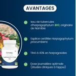 harpagophytum-bio-dynveo-avantages