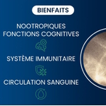 vitamine-B-12-dynveo-bienfaits