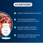 berberine-pure-complement-alimentaire-dynveo-avantages