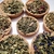 infusion-tisane-herboristerie-bio-incontournables-indispensables