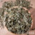 desmodium-infusion-herboristerie