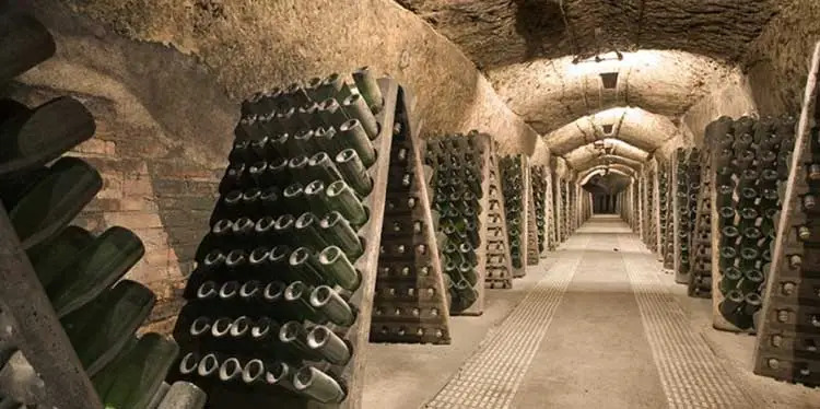 Température de conservation du vin