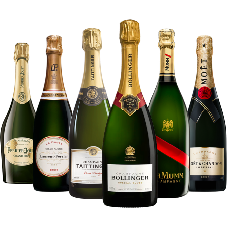 lot bouteille champagne