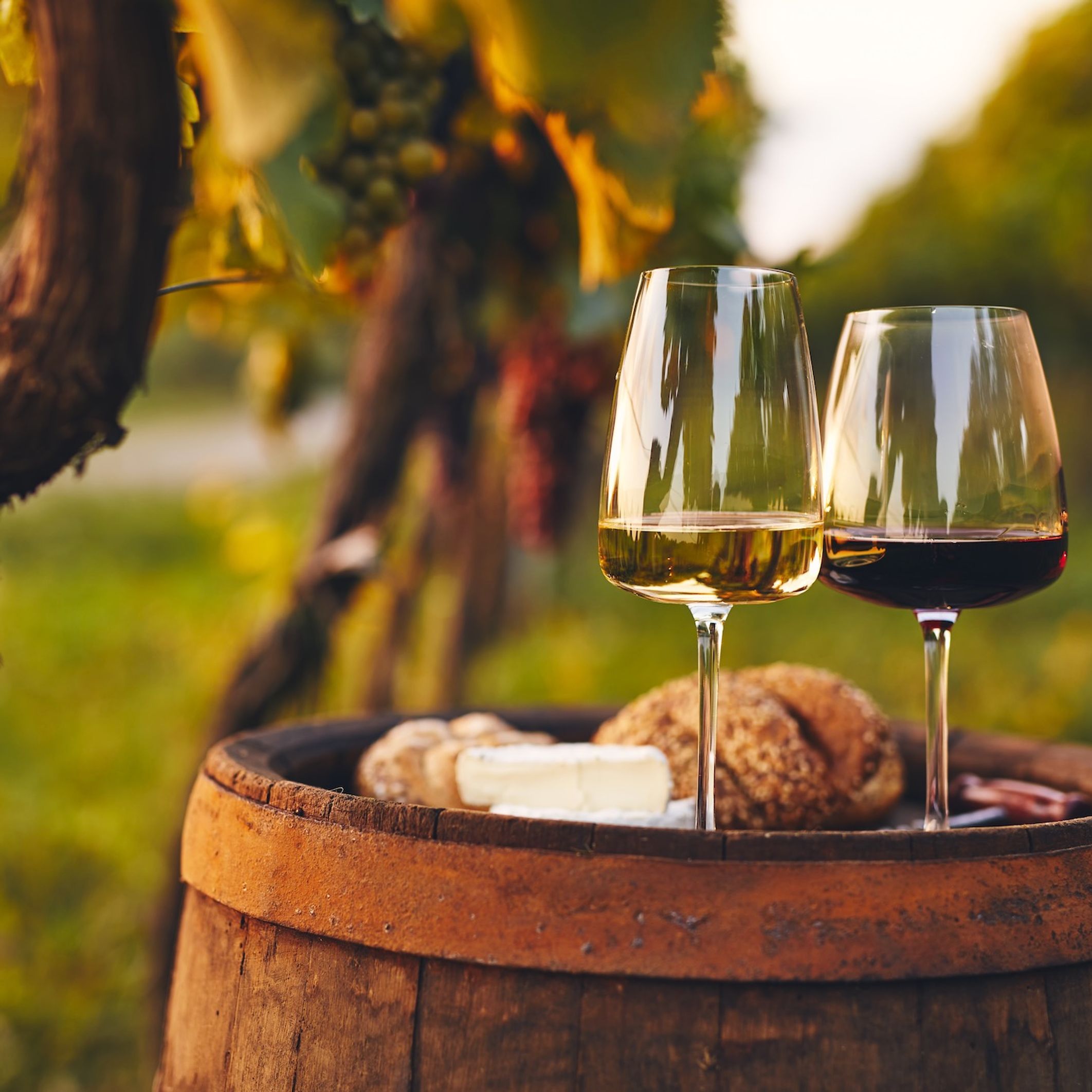 Achetez des verres à vin originaux