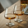 Snifters-de-Brandy-en-cristal-de-style-europ-en-verre-de-d-gustation-de-vin-rouge