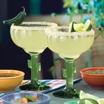 deux-verres-margarita-cactus