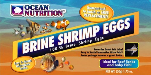OCEAN NUTRITION Brine Shrimp Eggs 50 gr. oeufs d\'Artemia haute qualité et faciles à cultiver