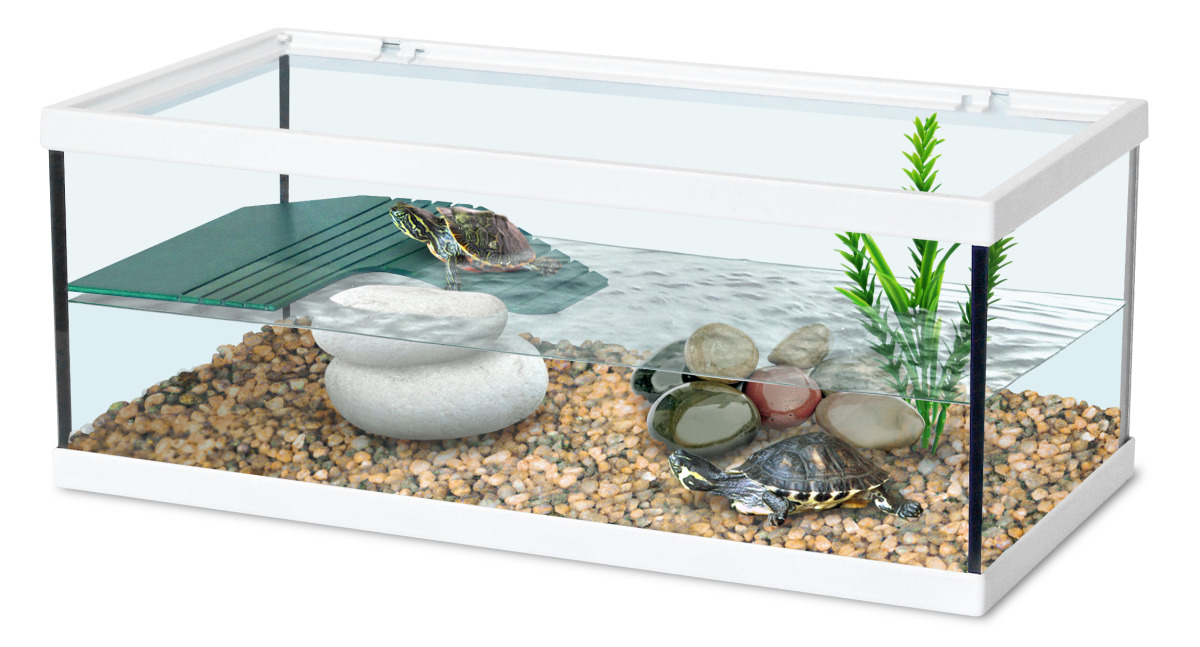 ZOLUX Aqua Tortum 40 Blanc aquaterrarium pour tortues aquatiques et amphibiens. Dimensions : 40 x 20 x 18 cm