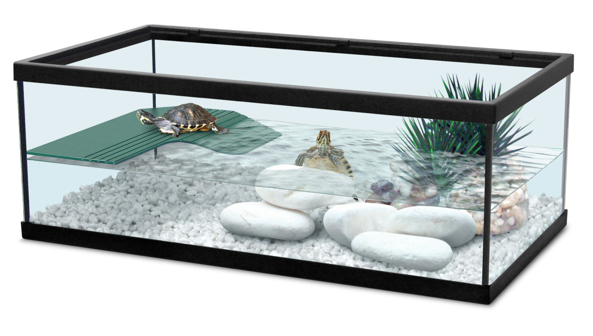 ZOLUX Aqua Tortum 55 Noir aquaterrarium pour tortues aquatiques et amphibiens. Dimensions : 55 x 30 x 20 cm