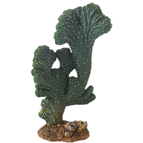 hobby-Cactus-22-cm-victoria-plante-artificelle-décoration-terrarium