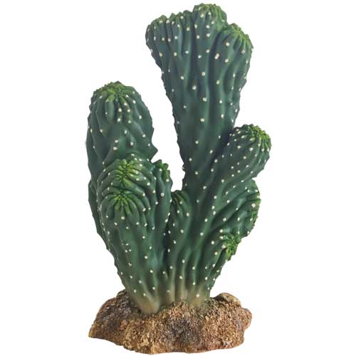 HOBBY Cactus Victoria 19 cm cactus artificielle pour la décoration de terrarium