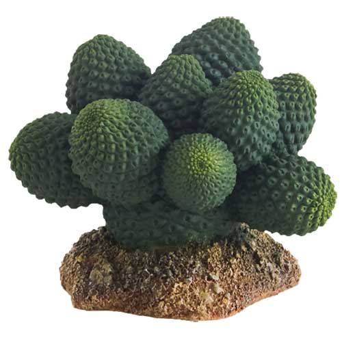 HOBBY Cactus Atacamma 7 cm cactus artificielle pour la décoration de terrarium
