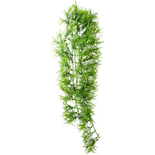 HOBBY Climber Tropica 70 cm plante artificielle retombante avec ventouse pour terrarium