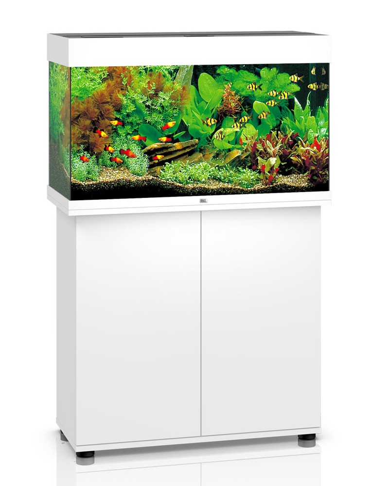 Aquarium JUWEL Rio 125 LED dim. 81 x 36 x 50 cm 125 Litres, coloris au choix, avec ou sans meuble SBX !