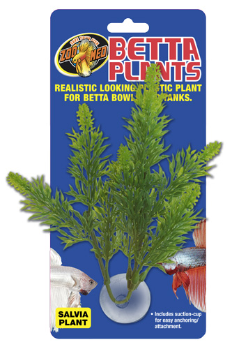 BP-23_Betta_Plants_Salvia