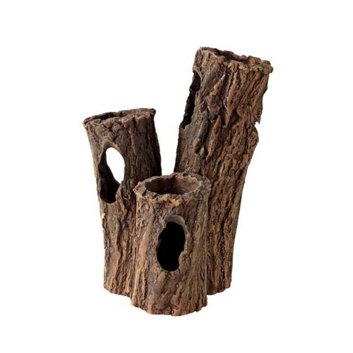 hobby-Catfish-Tree-1-cachette-poisson-crevette