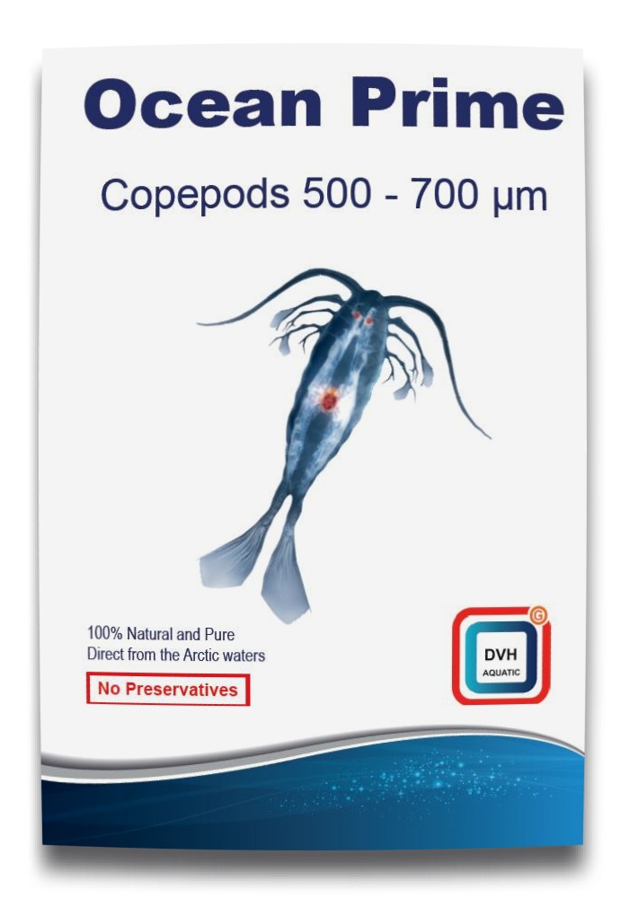DVH IMPORT Ocean Prime Copepods 500 - 700 microns copépodes frais pour poissons d’eau douce, d’eau de mer et coraux