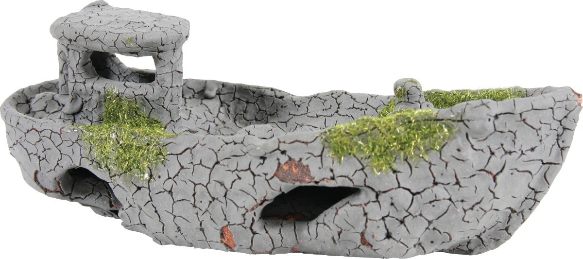 epave-mousse