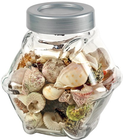 HOBBY-Sea-Shells-L-en-verre-décoratif-1-L
