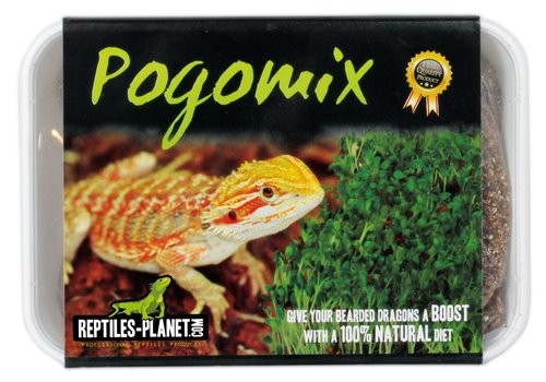 REPTILES PLANET Pogomix mix de graines à germer pour l\'alimentation naturelle des Pogona