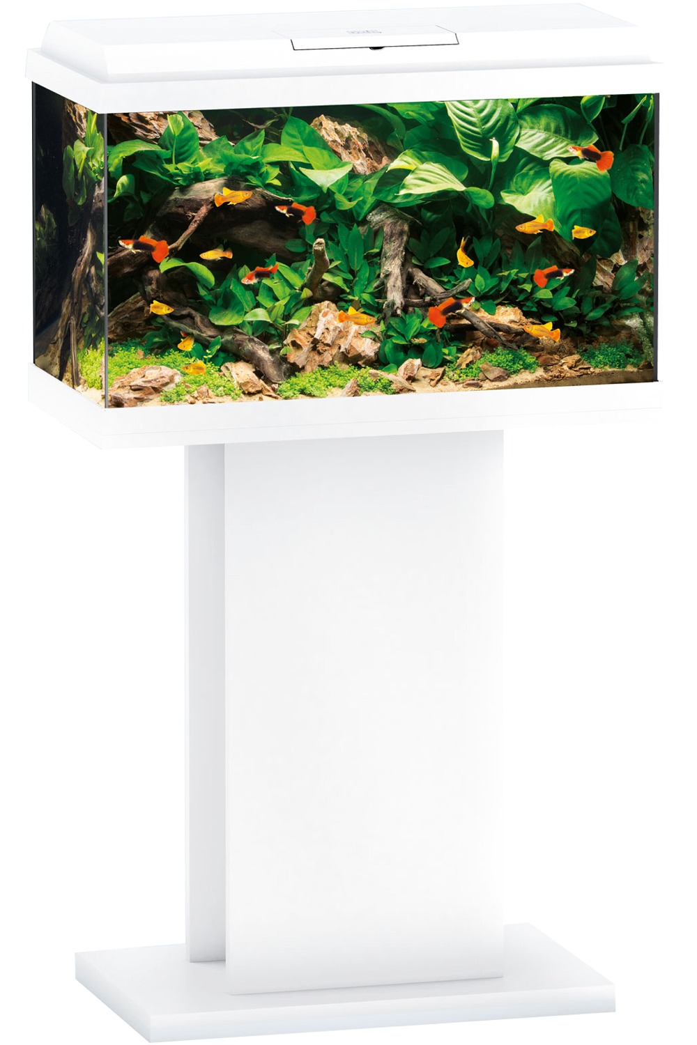 Aquarium Juwel Primo 70 Led 61 X 31 X 44 Cm 70l Noir Ou Blanc Avec Ou Sans Meuble