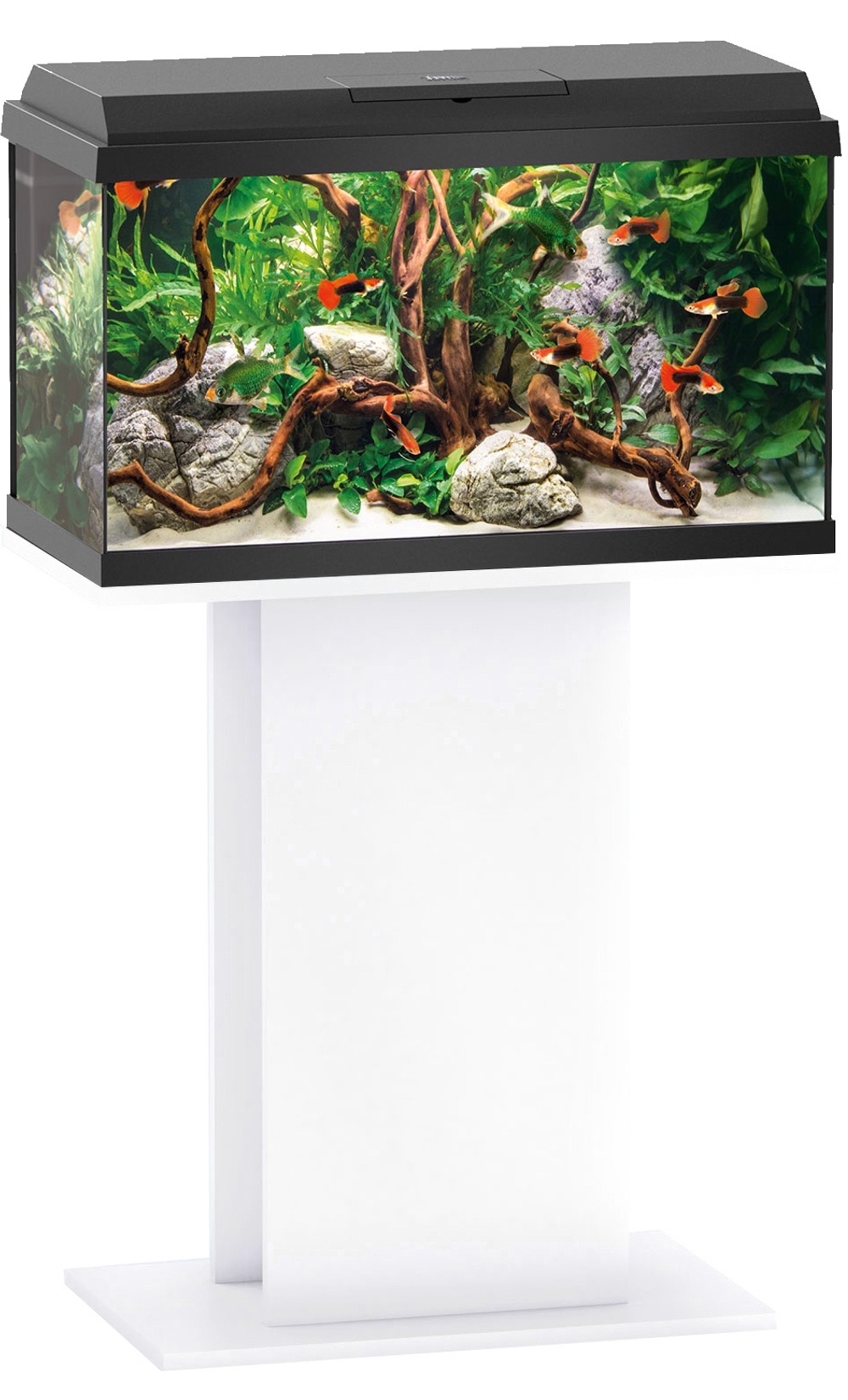 juwel-primo-60-led-aquarium-meuble-colonne-blanc