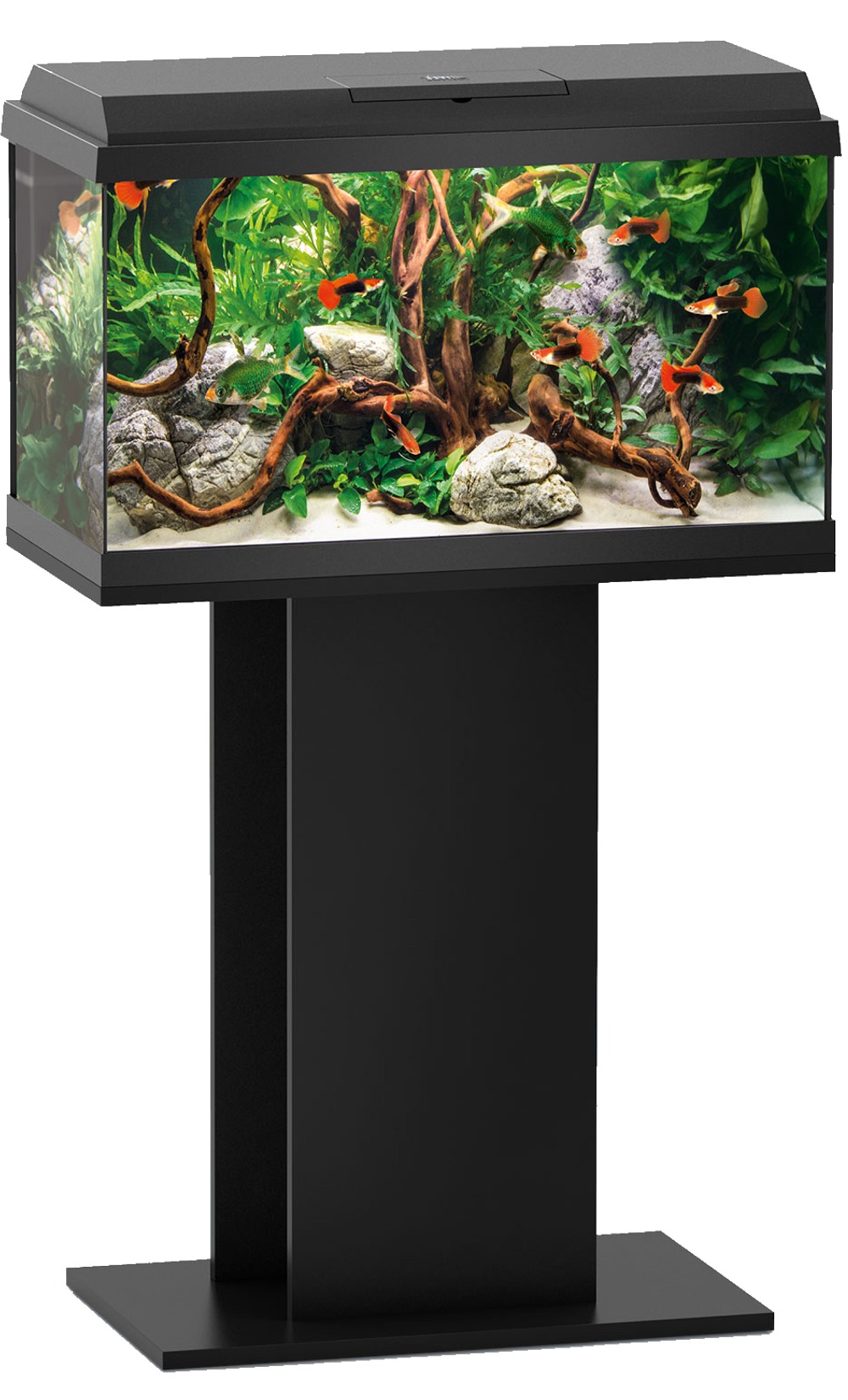 Acheter aquarium 60l juwel complet accessoires et vivants