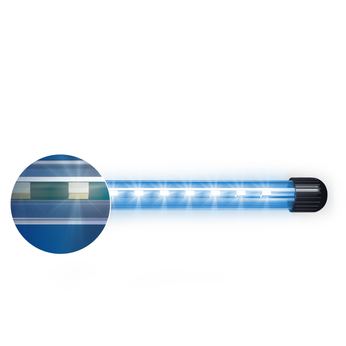 fg_juwel_aquarium_LED_Novolux_blue_2(4)-l
