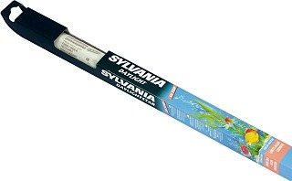 SYLVANIA-DaylightStarT8