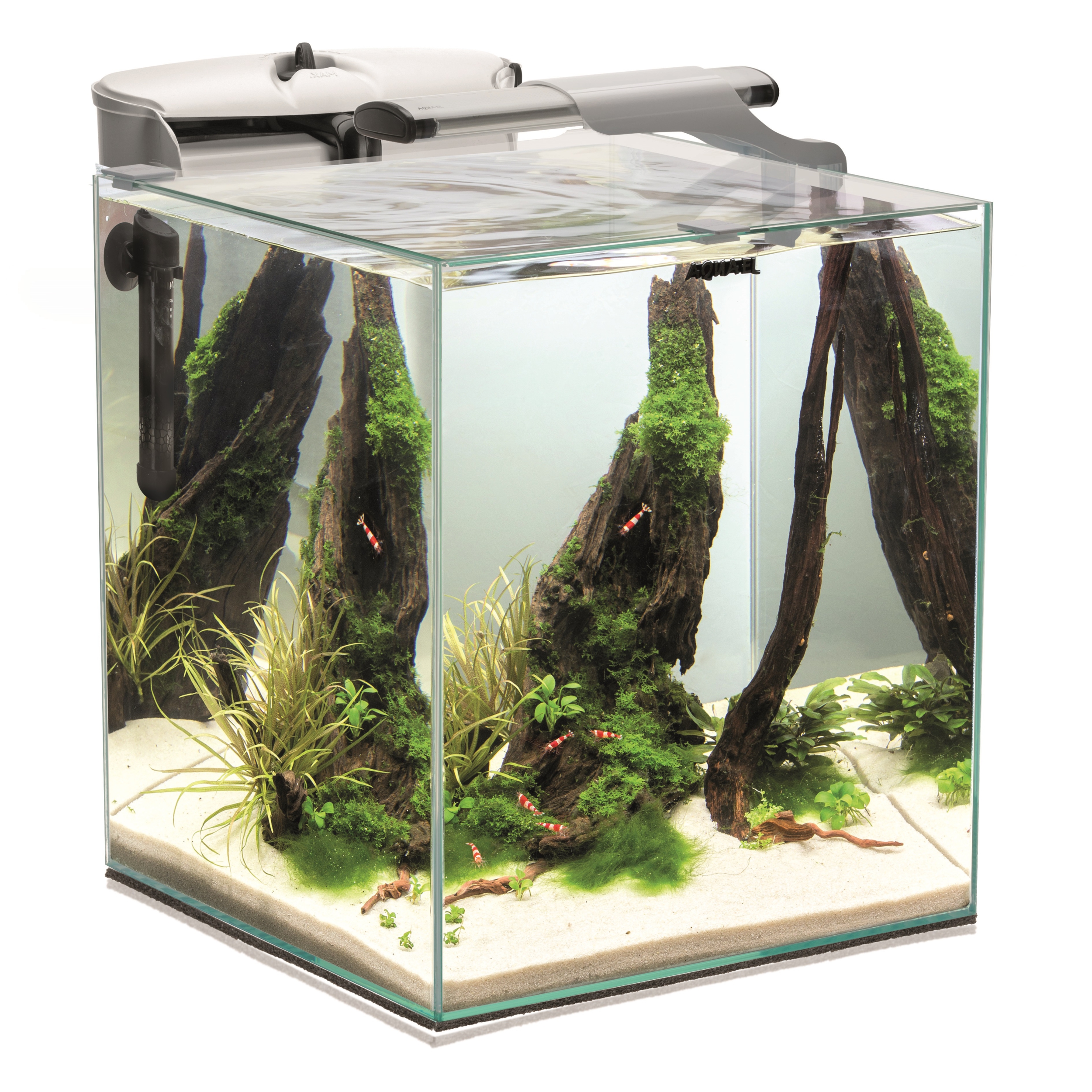 AQUAEL Shrimp Set Duo 49L nano-aquarium 35 x 35 x 40 cm équipé avec éclairage LEDs 10W, chauffage et filtration