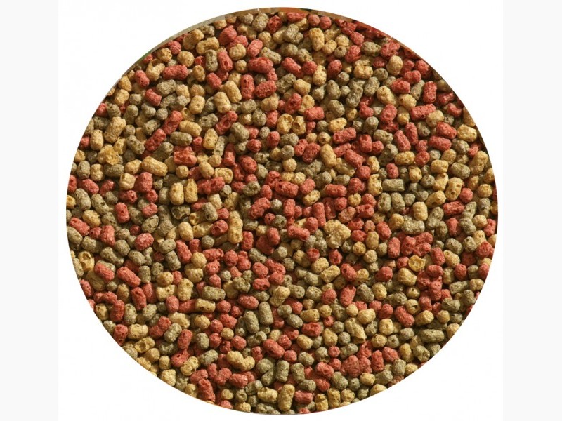 3-colour-Pellet-los-1-lbox-800x600-F9F9F9