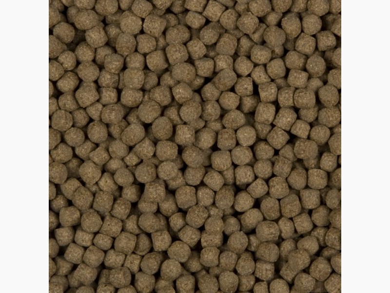 Staple-Prime-6mm-lbox-800x600-F9F9F9