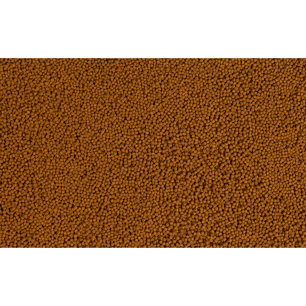 t801869_9631,-d-,png