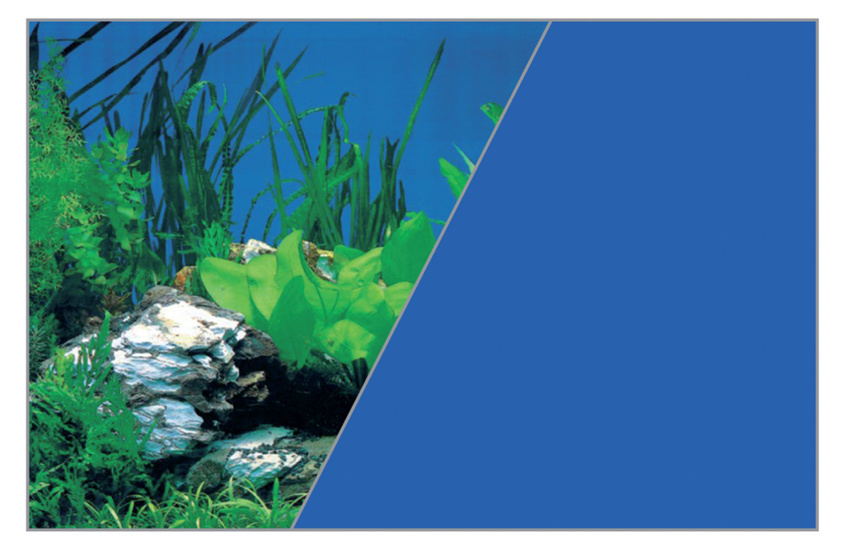 ZOLUX Poster d\'aquarium fond Roches et Bleu Longueur 120 cm x 60 cm de hauteur