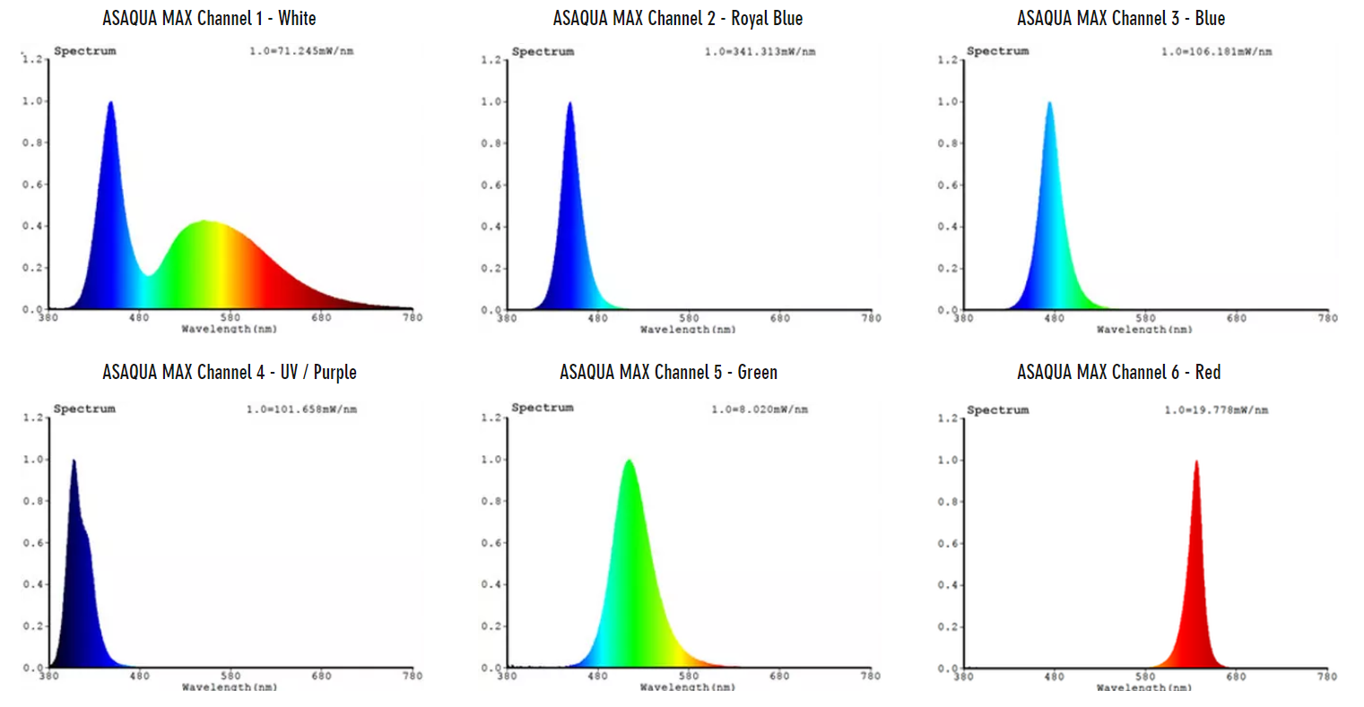 Light spectrum max