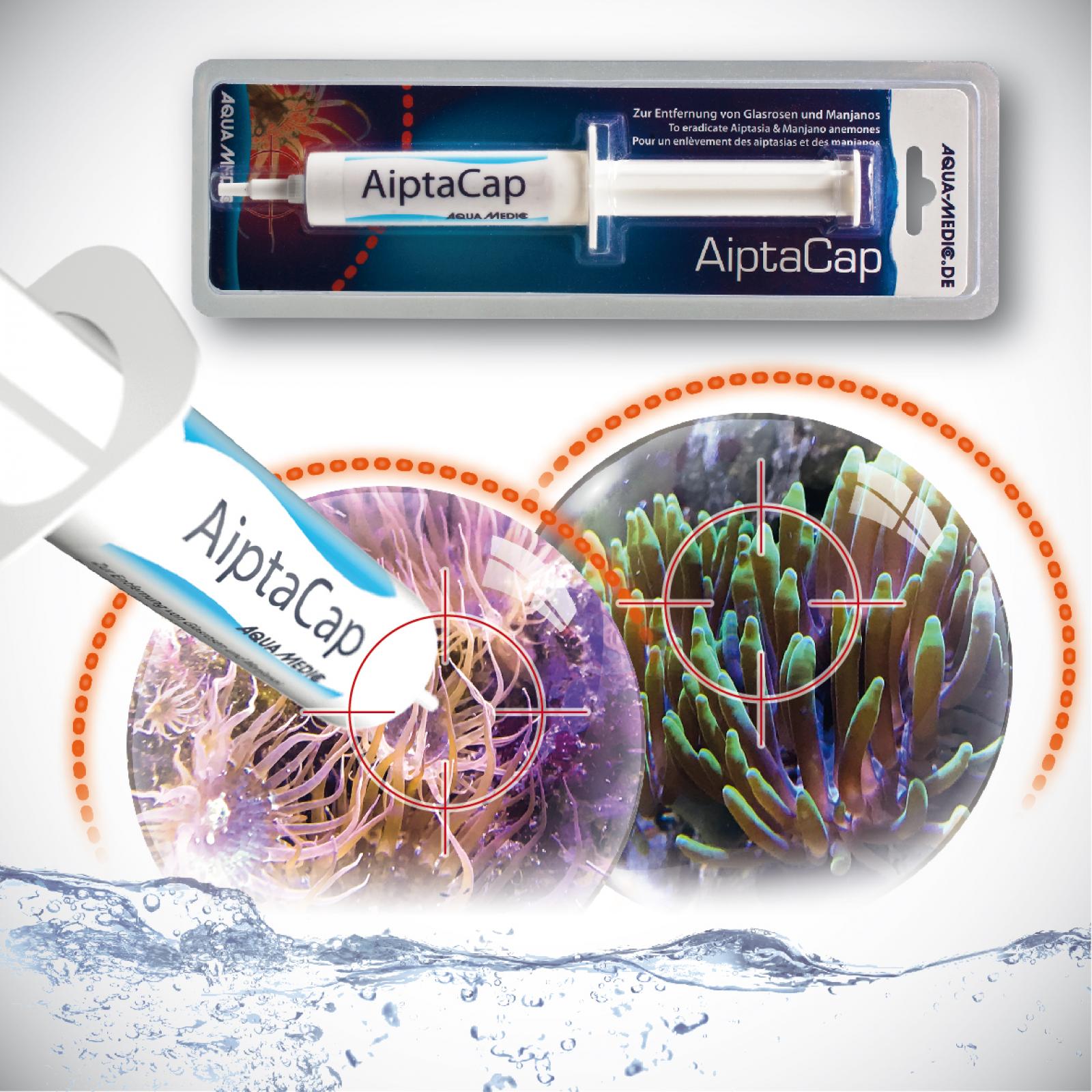 AiptaCap_15186112421