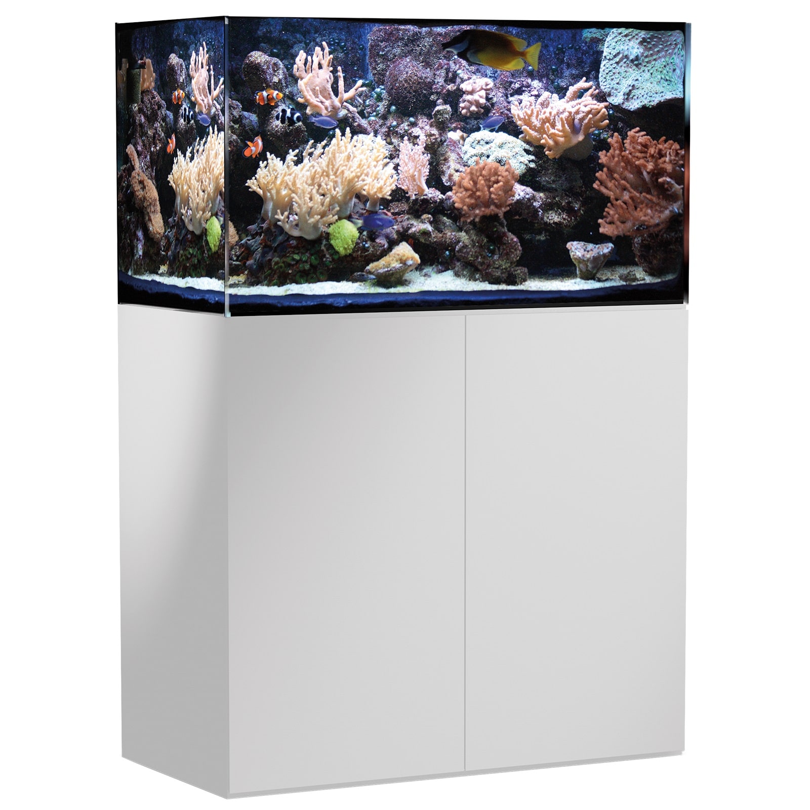 AQUA MEDIC Armatus 300 Blanc kit aquarium eau de mer 250 L avec meuble et décantation
