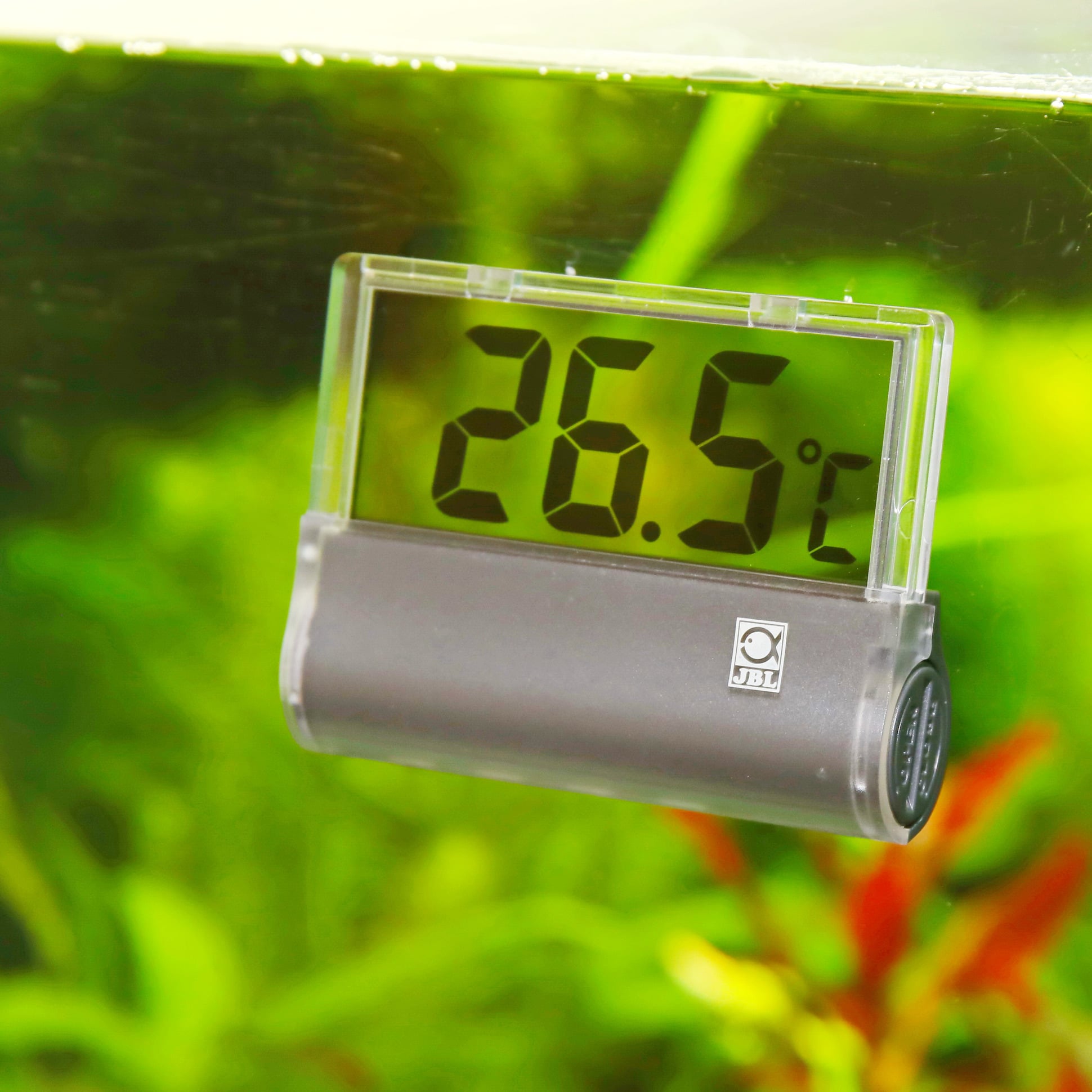 jbl-digiscan-thermometre-numerique-installe-sur-la-vitre-d-aquarium-min