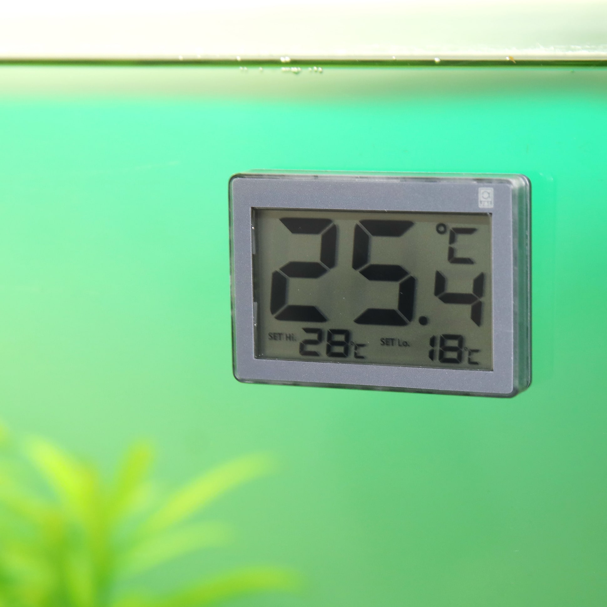 jbl-digiscan-alarm-thermometre-numerique-installer sur-la-vitre-d-aquarium-min