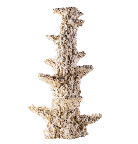 ARKA Column Slim 30 cm 2 Kg roche céramique haute porosité pour aquarium d\'eau de mer