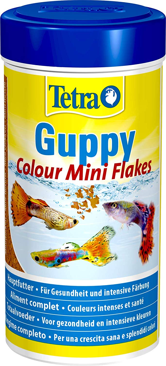TETRA Guppy Colour 250 ml aliment complet enrichi en activateurs de couleurs pour tous les guppies