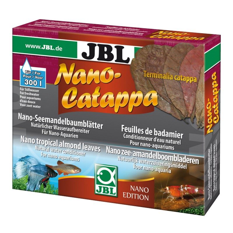 JBL Nano-Catappa feuilles de badamier aux vertus médicinales pour Nano-Aquarium