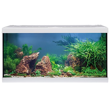 eheim-aquastar-54-led-blanc-aquarium-equipe-60-cm-54l-disponible-avec-ou-sans-meuble-2